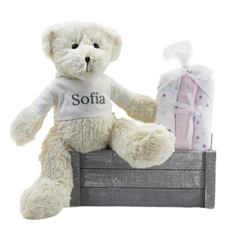 Kit Muselina Bebé y Osito de Peluche rosa