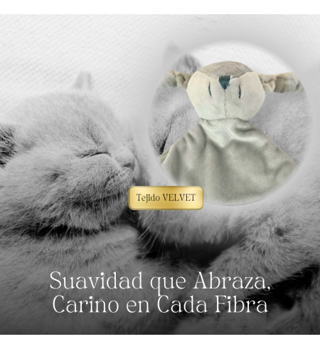 Doudou y chupete personalizado con el nombre del bebé | Regalo único y tierno