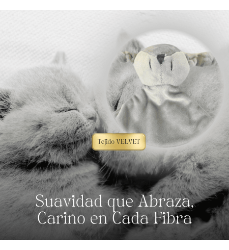 Pack de Doudou y 2 chupetes personalizados con nombre | Con sujetachupetes para bebé