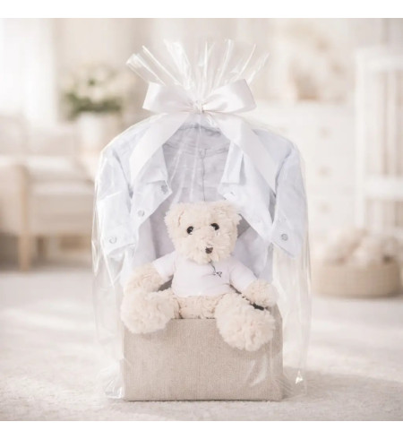 Set Vintage Hugo Boss para bebé | Canastilla de lujo para recién nacido